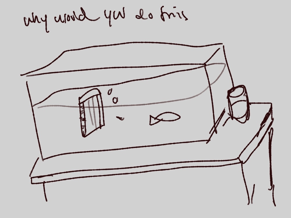 modem in the goldfish tank