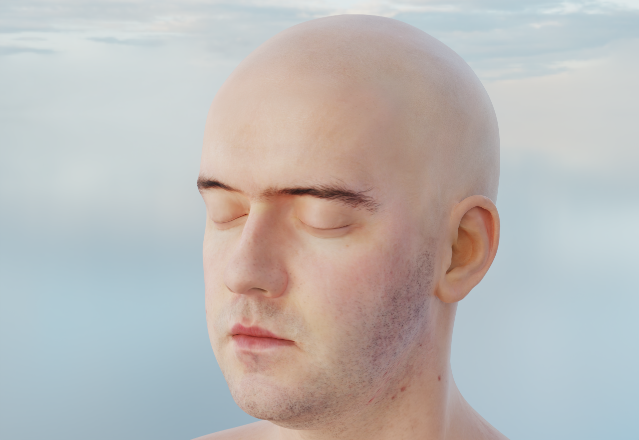 Head under sky HDRI, Disney BRDF