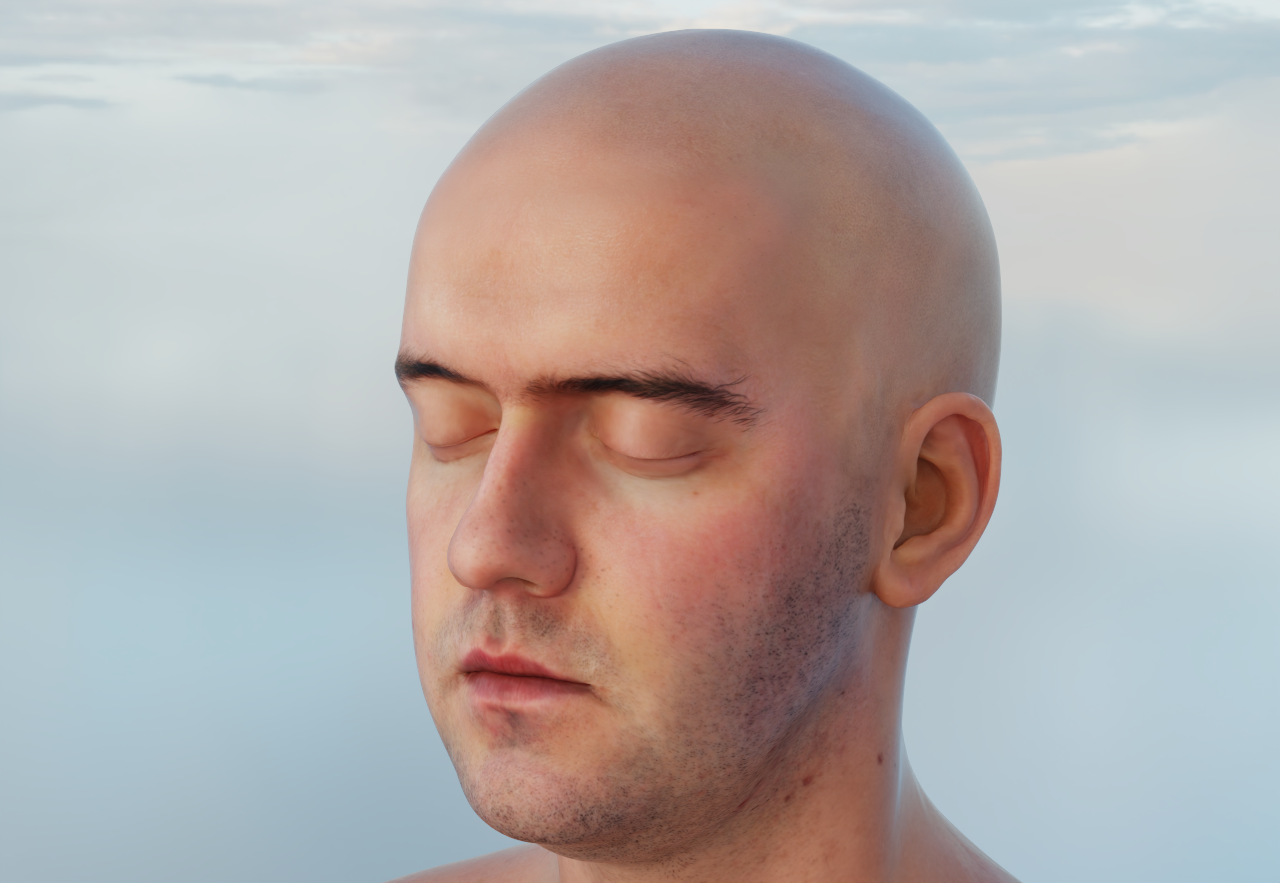 Head under sky HDRI, random walk SSS